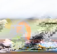 Henry's at The Coast - Accommodation Brisbane