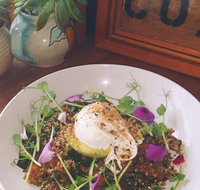 The Shak Organic Cafe  Wine Bar