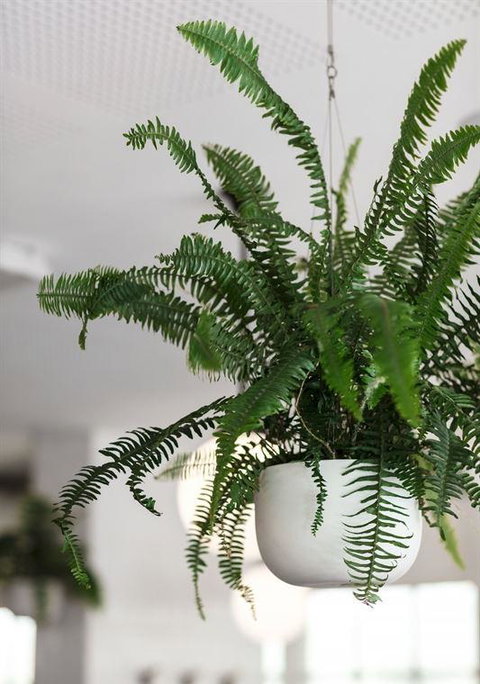 Big Momma's - Accommodation Brisbane 3