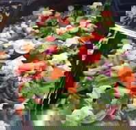 Spuds Fish Moorebank - Accommodation Brisbane