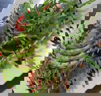 DeliLicious Bundanoon