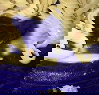 Leumeah Pizza - Accommodation Brisbane