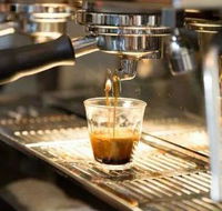Black Bear Cafe - Accommodation Brisbane