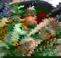 Milk Bar Cafe - Accommodation Brisbane