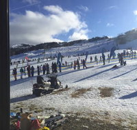 Snow Gums - Accommodation Brisbane