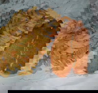 Chipp Inn - Accommodation Brisbane