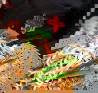 Thai Square Springwood - Accommodation Brisbane