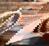 The Anchor Coffee House - Accommodation Brisbane