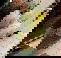 The Natural Waffle Ice Cream Parlour - Accommodation Brisbane