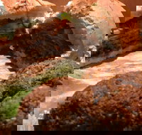 Familiar Takeaway - Accommodation Brisbane