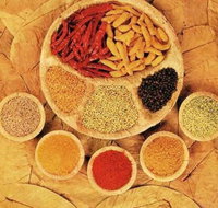 Tehzeeb Indian and Australian Restaurant - Accommodation Brisbane