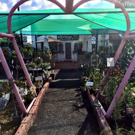 Merrigal NSW Accommodation Brisbane