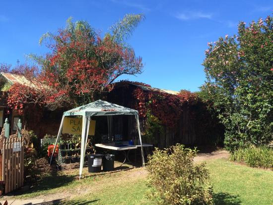 Bilpin NSW Accommodation Brisbane