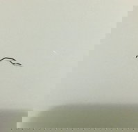 Jimmy's Palace - Accommodation Brisbane