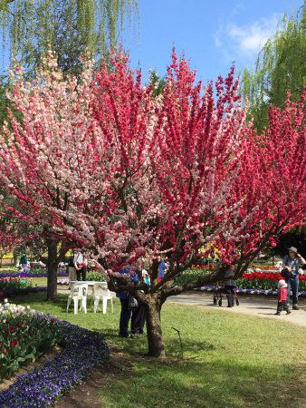 Mirchi Indian Cuisine - Accommodation Brisbane 0