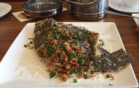 Mr So Chinese Restaurant - Accommodation Brisbane 0