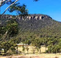 The Lolly Bug - Accommodation Brisbane