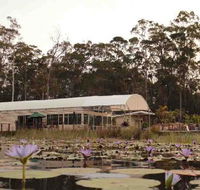 Abundance Cafe and Garden Centre - Accommodation Brisbane