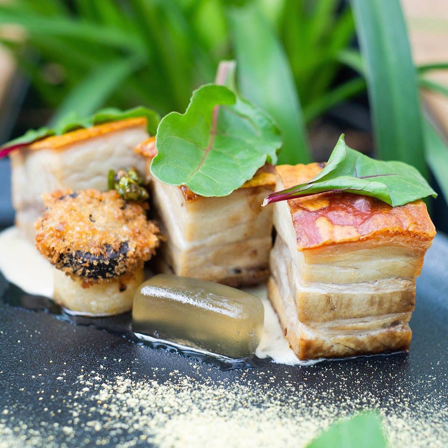  Accommodation Brisbane