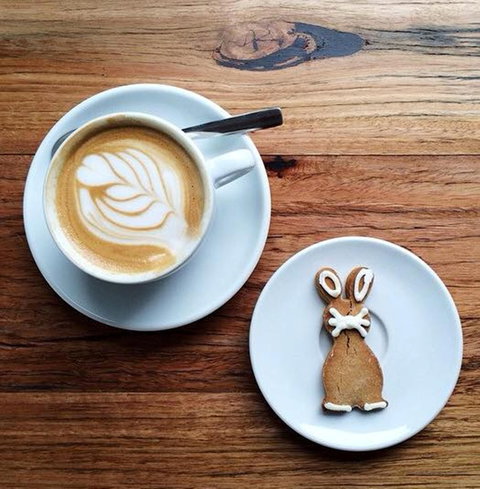 Little Green Corner - Accommodation Brisbane 2