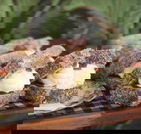 Parmi Bandit - Accommodation Brisbane