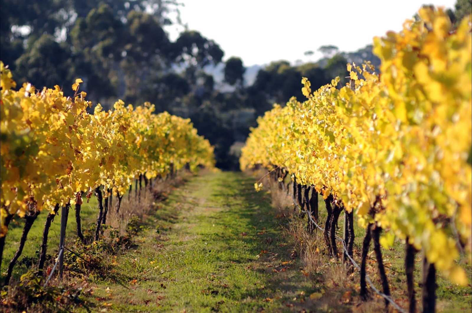 Swan Marsh VIC Accommodation Brisbane