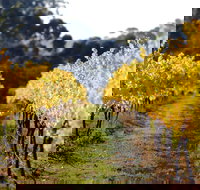 Prickly Moses Brewery - Accommodation Brisbane