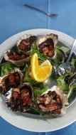 Taree Restaurants and Takeaway Accommodation Brisbane Accommodation Brisbane