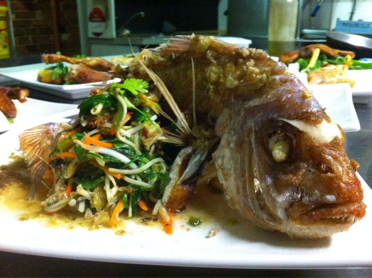  Accommodation Brisbane