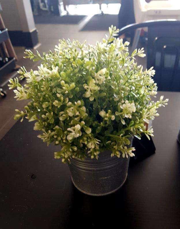 Forrestdale ACT Accommodation Brisbane