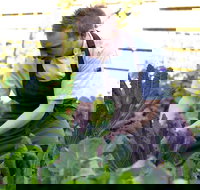 Chiswick Restaurant Woollahra - Accommodation Brisbane