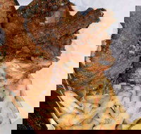 Chicken king - Accommodation Brisbane