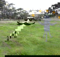 Heard it on the Grapevine - Accommodation Brisbane