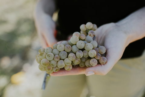 Rowlee Vine To Table Experience - Accommodation Brisbane 1