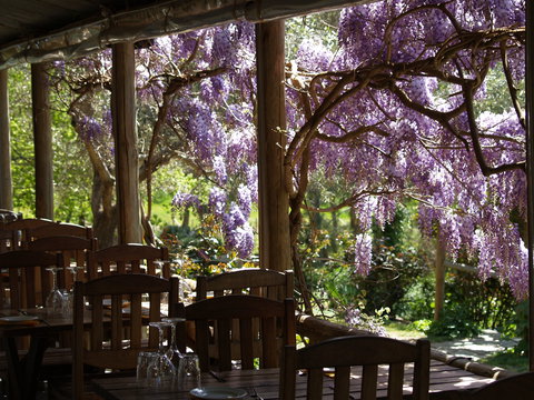 Skillogalee Winery & Restaurant - Accommodation Brisbane 2