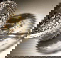 T Totaler - Newtown - Accommodation Brisbane