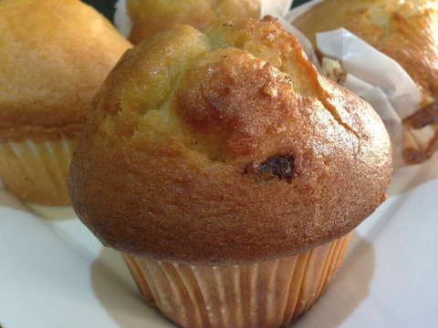 Bamboo - Accommodation Brisbane 0