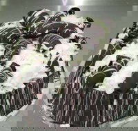 Caf Siciliadolce Pasticceria - Accommodation Brisbane