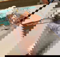 Coffee Mentality - Albion - Accommodation Brisbane