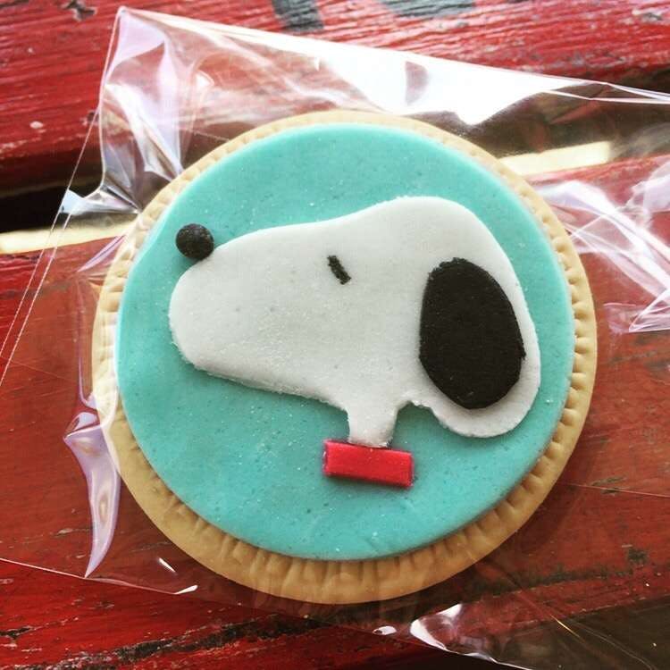 Thornleigh NSW Accommodation Brisbane