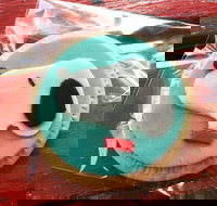 Curl the Whisker Cafe - Accommodation Brisbane