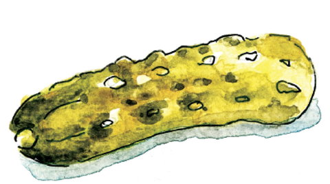 Gherkin Garden By Bethany Wines - Accommodation Brisbane 1