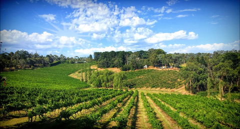Kellybrook Winery And Kelly Brothers Cider - Accommodation Brisbane 0
