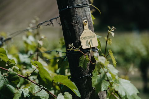 Kellybrook Winery And Kelly Brothers Cider - Accommodation Brisbane 2