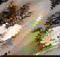 Rogue Valley Roasters