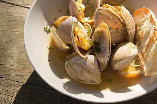 Piesse Brook WA Accommodation Brisbane