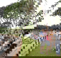 Darwin Ski Club - Accommodation Brisbane