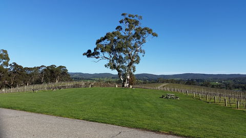 Nepenthe Wines - Accommodation Brisbane 0