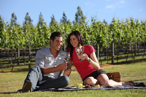Nepenthe Wines - Accommodation Brisbane 1