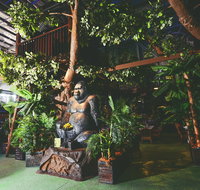 The Jungle - Kent Town Hotel - Accommodation Brisbane